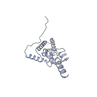10397_6t7t_SJ_v1-1
Structure of yeast 80S ribosome stalled on poly(A) tract.