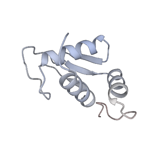 10397_6t7t_SK_v1-1
Structure of yeast 80S ribosome stalled on poly(A) tract.