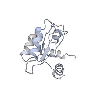 10397_6t7t_SM_v1-1
Structure of yeast 80S ribosome stalled on poly(A) tract.