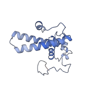 10397_6t7t_SN_v1-1
Structure of yeast 80S ribosome stalled on poly(A) tract.