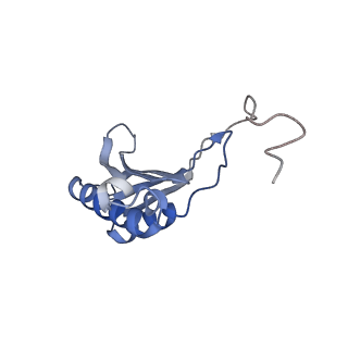 10397_6t7t_SO_v1-1
Structure of yeast 80S ribosome stalled on poly(A) tract.