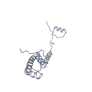 10397_6t7t_SR_v1-1
Structure of yeast 80S ribosome stalled on poly(A) tract.