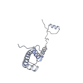 10397_6t7t_SR_v2-0
Structure of yeast 80S ribosome stalled on poly(A) tract.