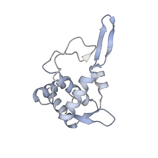 10397_6t7t_ST_v1-1
Structure of yeast 80S ribosome stalled on poly(A) tract.