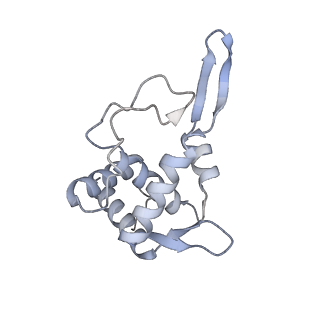 10397_6t7t_ST_v2-0
Structure of yeast 80S ribosome stalled on poly(A) tract.