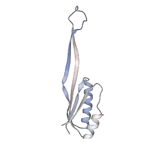 10397_6t7t_SU_v2-0
Structure of yeast 80S ribosome stalled on poly(A) tract.