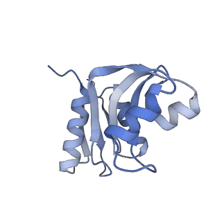 10397_6t7t_SW_v1-1
Structure of yeast 80S ribosome stalled on poly(A) tract.