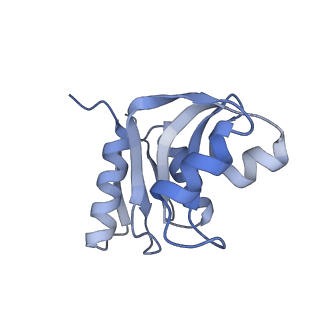 10397_6t7t_SW_v2-0
Structure of yeast 80S ribosome stalled on poly(A) tract.