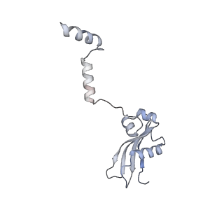 10397_6t7t_SY_v1-1
Structure of yeast 80S ribosome stalled on poly(A) tract.