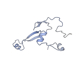 10397_6t7t_Sa_v1-1
Structure of yeast 80S ribosome stalled on poly(A) tract.