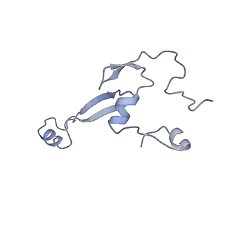 10397_6t7t_Sa_v2-0
Structure of yeast 80S ribosome stalled on poly(A) tract.