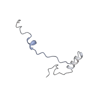 10397_6t7t_Se_v1-1
Structure of yeast 80S ribosome stalled on poly(A) tract.