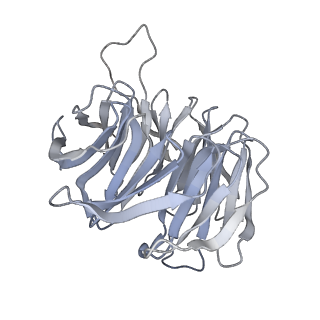 10397_6t7t_Sg_v1-1
Structure of yeast 80S ribosome stalled on poly(A) tract.