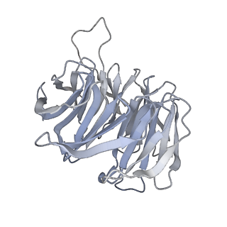 10397_6t7t_Sg_v2-0
Structure of yeast 80S ribosome stalled on poly(A) tract.