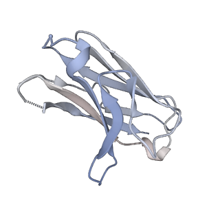 25732_7t73_L_v1-3
HIV-1 Envelope ApexGT2.2MUT in complex with PCT64.LMCA Fab