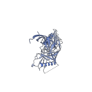 25735_7t76_C_v1-3
HIV-1 Envelope ApexGT3 in complex with PG9.iGL Fab