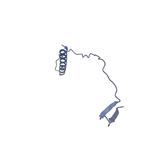 41089_8t7a_A_v1-2
Cryo-EM structure of RSV preF in complex with Fab 2.4K