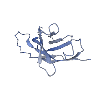 41089_8t7a_D_v1-2
Cryo-EM structure of RSV preF in complex with Fab 2.4K