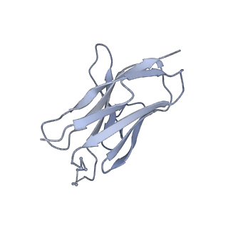 41089_8t7a_I_v1-2
Cryo-EM structure of RSV preF in complex with Fab 2.4K