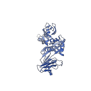 41089_8t7a_a_v1-2
Cryo-EM structure of RSV preF in complex with Fab 2.4K