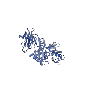 41089_8t7a_b_v1-2
Cryo-EM structure of RSV preF in complex with Fab 2.4K