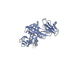 41089_8t7a_c_v1-2
Cryo-EM structure of RSV preF in complex with Fab 2.4K