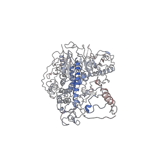41091_8t7e_A_v1-0
Cryo-EM structure of the Backtracking Initiation Complex (VII) of Human Mitochondrial DNA Polymerase Gamma