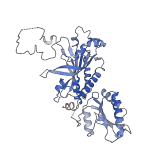 41091_8t7e_B_v1-0
Cryo-EM structure of the Backtracking Initiation Complex (VII) of Human Mitochondrial DNA Polymerase Gamma