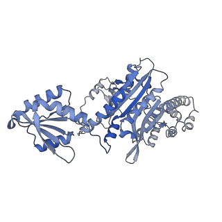 41094_8t7t_A_v1-0
CryoEM structure of the HisRS-like domain of human GCN2