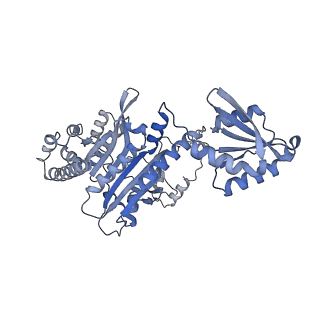 41094_8t7t_B_v1-0
CryoEM structure of the HisRS-like domain of human GCN2