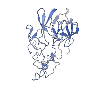 8369_5t7v_L2_v1-4
Methicillin Resistant, Linezolid resistant Staphylococcus aureus 70S ribosome (delta S145 uL3)