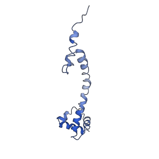 8369_5t7v_L3_v1-4
Methicillin Resistant, Linezolid resistant Staphylococcus aureus 70S ribosome (delta S145 uL3)