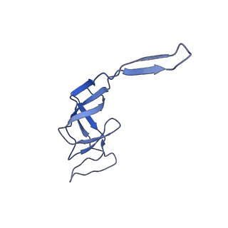 8369_5t7v_L4_v1-4
Methicillin Resistant, Linezolid resistant Staphylococcus aureus 70S ribosome (delta S145 uL3)
