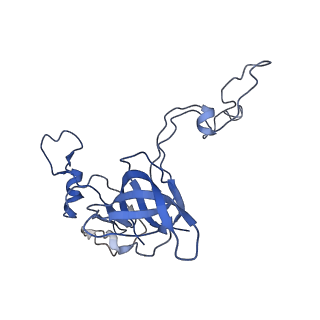 8369_5t7v_LC_v1-4
Methicillin Resistant, Linezolid resistant Staphylococcus aureus 70S ribosome (delta S145 uL3)