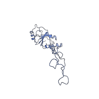 8369_5t7v_LJ_v1-4
Methicillin Resistant, Linezolid resistant Staphylococcus aureus 70S ribosome (delta S145 uL3)