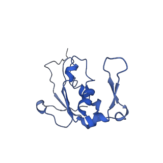 8369_5t7v_LM_v1-4
Methicillin Resistant, Linezolid resistant Staphylococcus aureus 70S ribosome (delta S145 uL3)