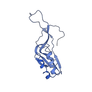 8369_5t7v_LP_v1-4
Methicillin Resistant, Linezolid resistant Staphylococcus aureus 70S ribosome (delta S145 uL3)