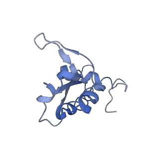 8369_5t7v_LQ_v1-4
Methicillin Resistant, Linezolid resistant Staphylococcus aureus 70S ribosome (delta S145 uL3)