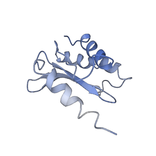 8369_5t7v_LR_v1-4
Methicillin Resistant, Linezolid resistant Staphylococcus aureus 70S ribosome (delta S145 uL3)