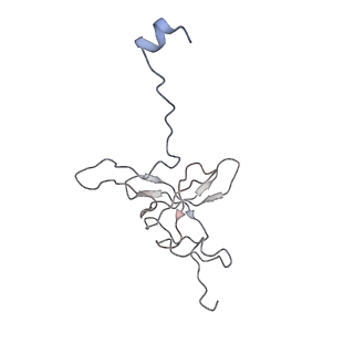 8369_5t7v_S3_v1-4
Methicillin Resistant, Linezolid resistant Staphylococcus aureus 70S ribosome (delta S145 uL3)