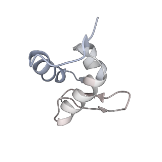 10398_6t83_0_v1-2
Structure of yeast disome (di-ribosome) stalled on poly(A) tract.