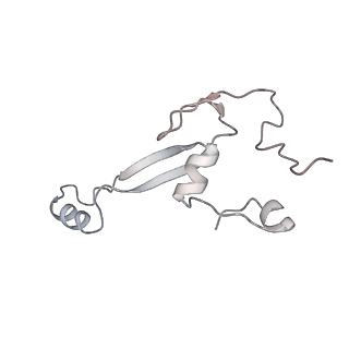 10398_6t83_1_v1-2
Structure of yeast disome (di-ribosome) stalled on poly(A) tract.