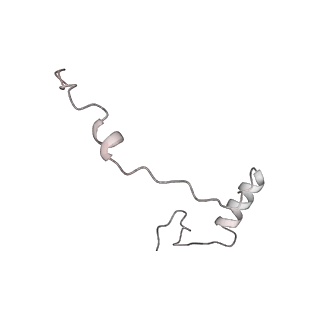10398_6t83_5_v1-2
Structure of yeast disome (di-ribosome) stalled on poly(A) tract.