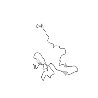 10398_6t83_6_v1-2
Structure of yeast disome (di-ribosome) stalled on poly(A) tract.