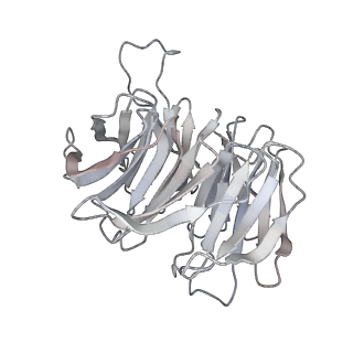 10398_6t83_7_v1-2
Structure of yeast disome (di-ribosome) stalled on poly(A) tract.