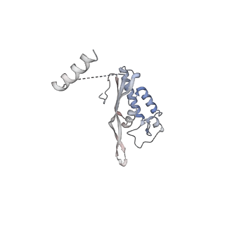 10398_6t83_A_v1-2
Structure of yeast disome (di-ribosome) stalled on poly(A) tract.