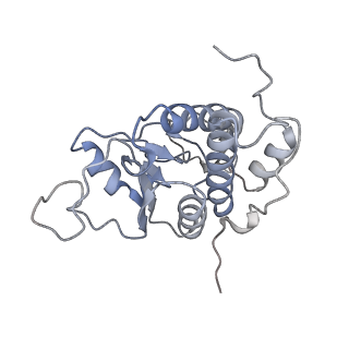 10398_6t83_Ab_v1-2
Structure of yeast disome (di-ribosome) stalled on poly(A) tract.