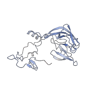 10398_6t83_Ay_v1-2
Structure of yeast disome (di-ribosome) stalled on poly(A) tract.