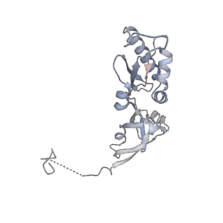 10398_6t83_Ba_v1-2
Structure of yeast disome (di-ribosome) stalled on poly(A) tract.