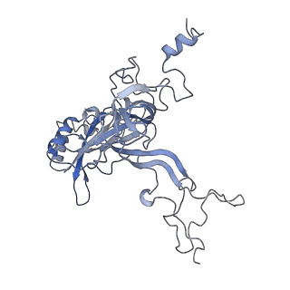 10398_6t83_By_v1-2
Structure of yeast disome (di-ribosome) stalled on poly(A) tract.